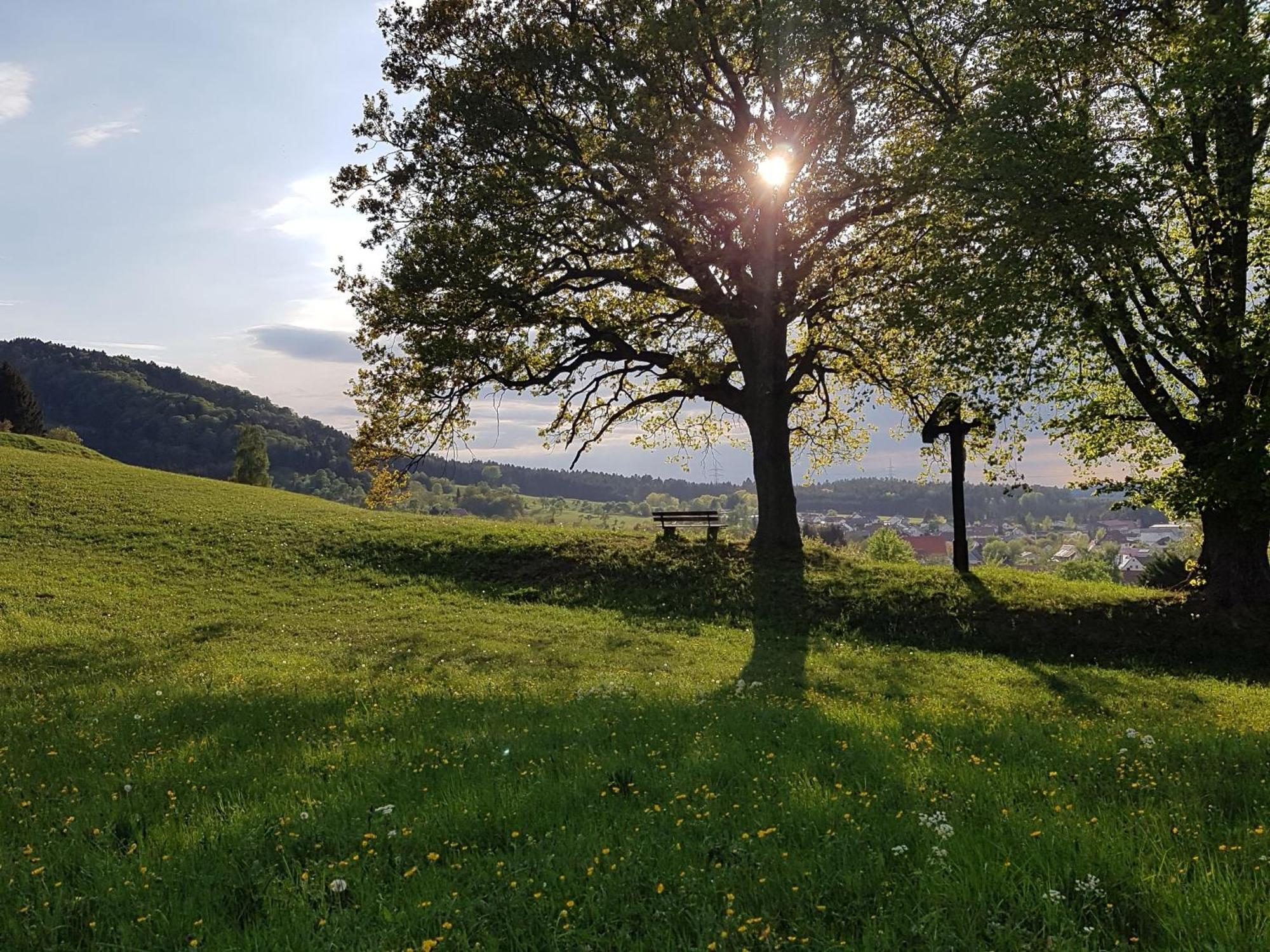 Ferienhaus Rosswangen 바링엔 외부 사진